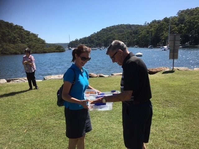 Northern Beaches Public Day Tour febuary 2019 Image -5c64965d6c231